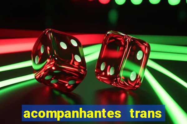 acompanhantes trans baixada fluminense